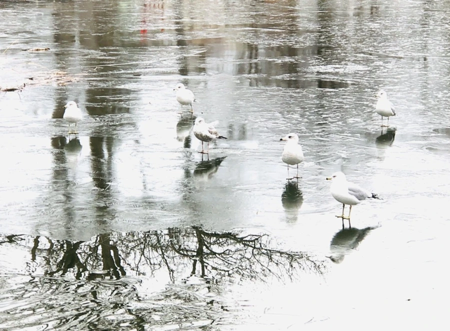 IMG_9028.jpg?type=w966