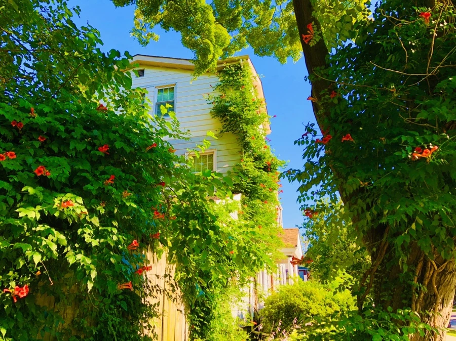 IMG_2772.jpg?type=w966