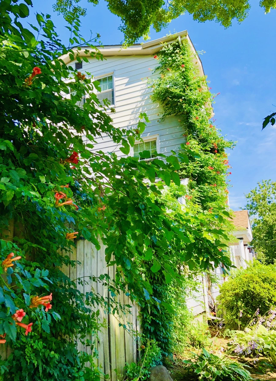 IMG_2551.jpg?type=w966