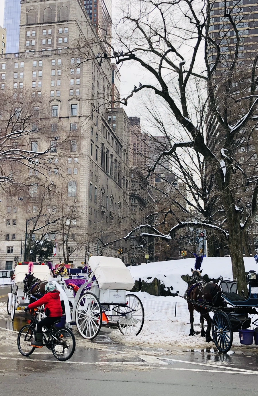 IMG_0376.jpg?type=w966