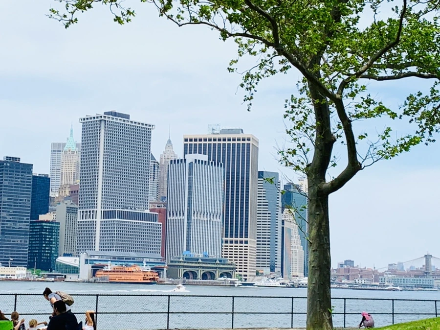 IMG_5143.jpg?type=w966