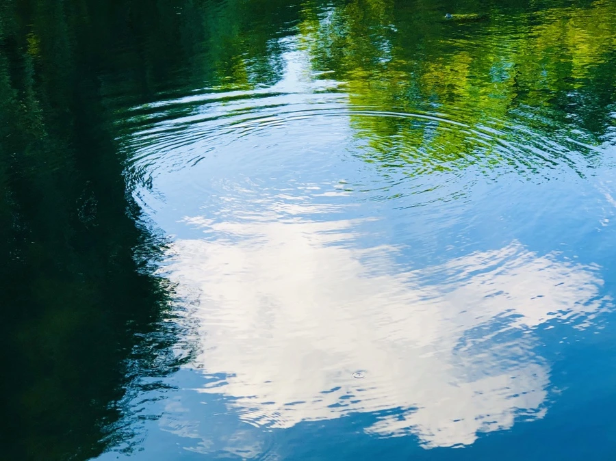 IMG_2904.jpg?type=w966