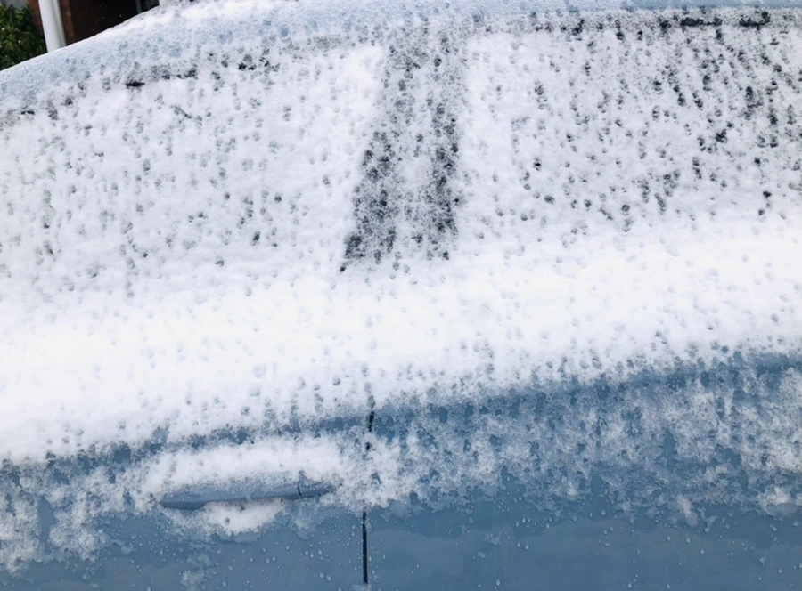 IMG_8971.jpg?type=w966