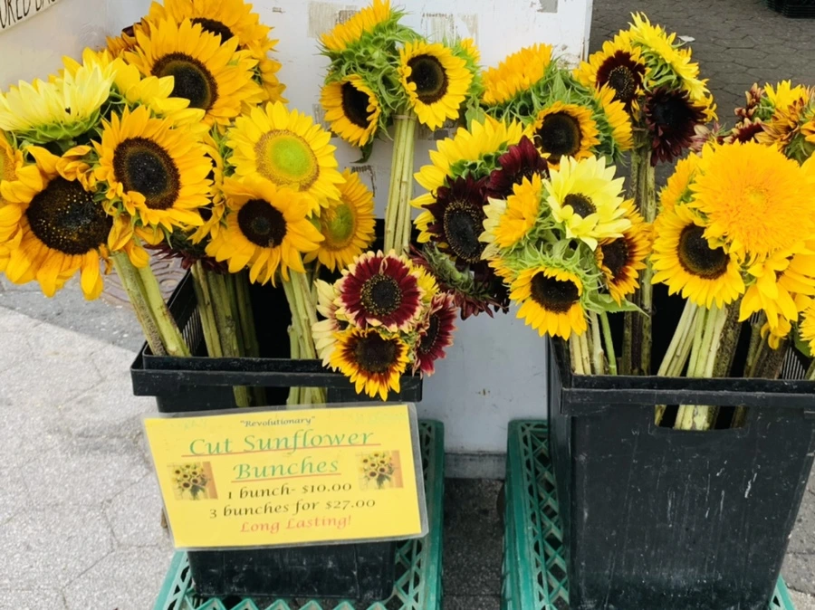 IMG_6625.jpg?type=w966