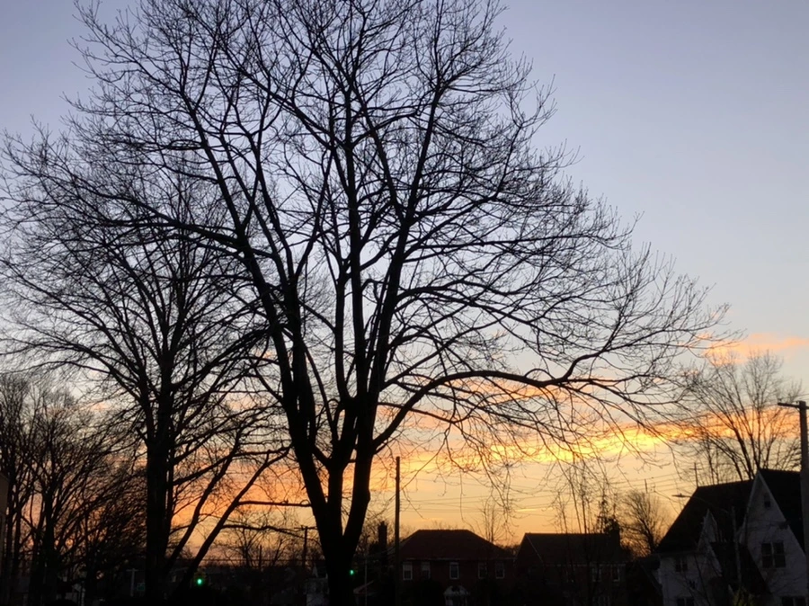 IMG_4620.jpg?type=w966