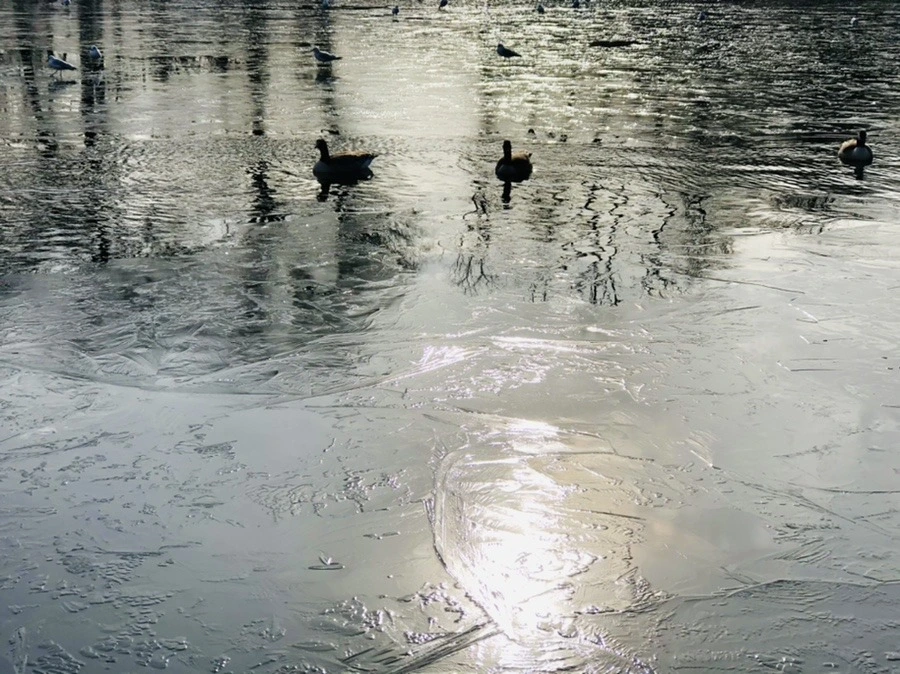 pHqqEpGEBI9m4rBssTZC6mrRWMc