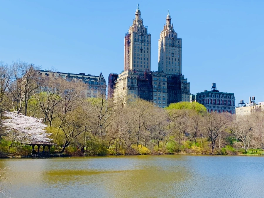 IMG_8989.jpg?type=w966