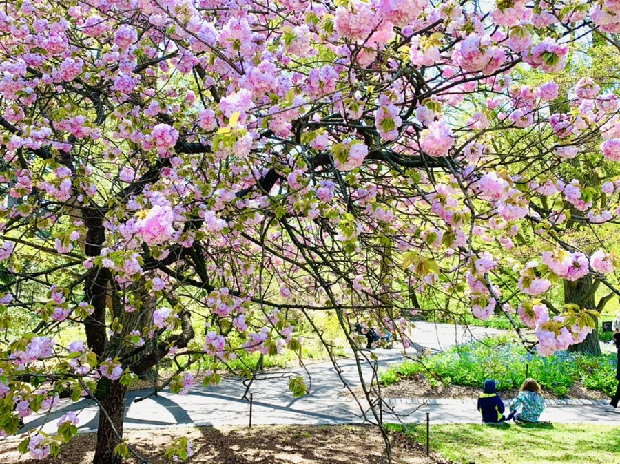 IMG_4625.jpg?type=w966