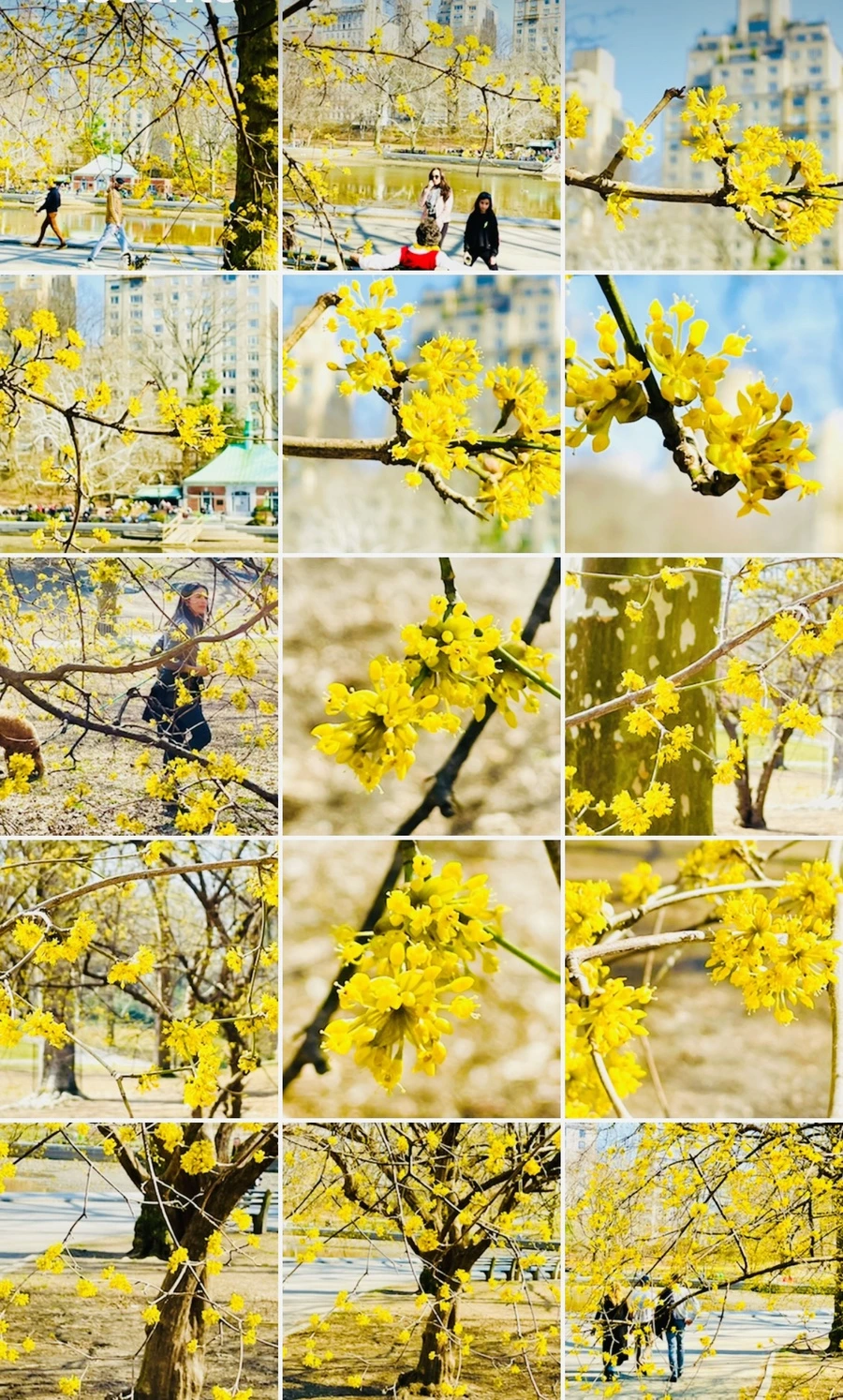 IMG_5670.jpg?type=w966