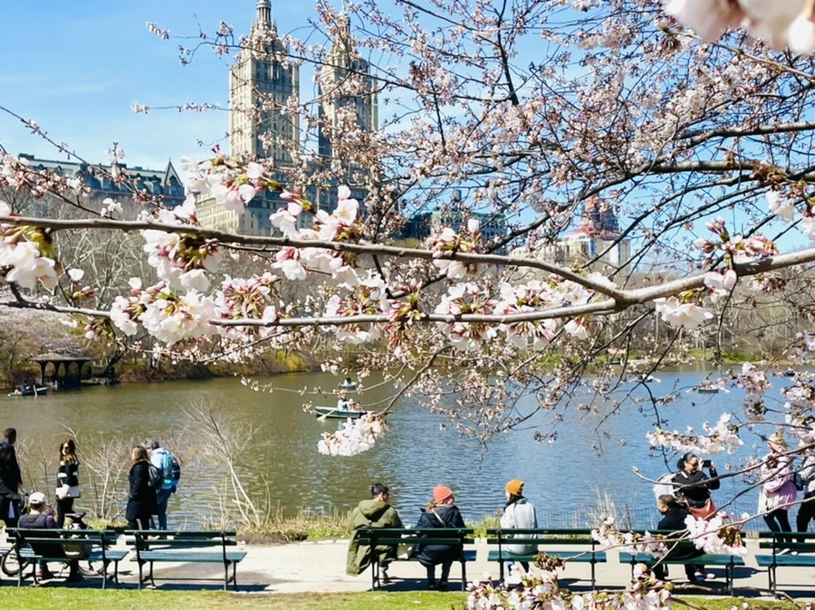 IMG_8434.jpg?type=w966