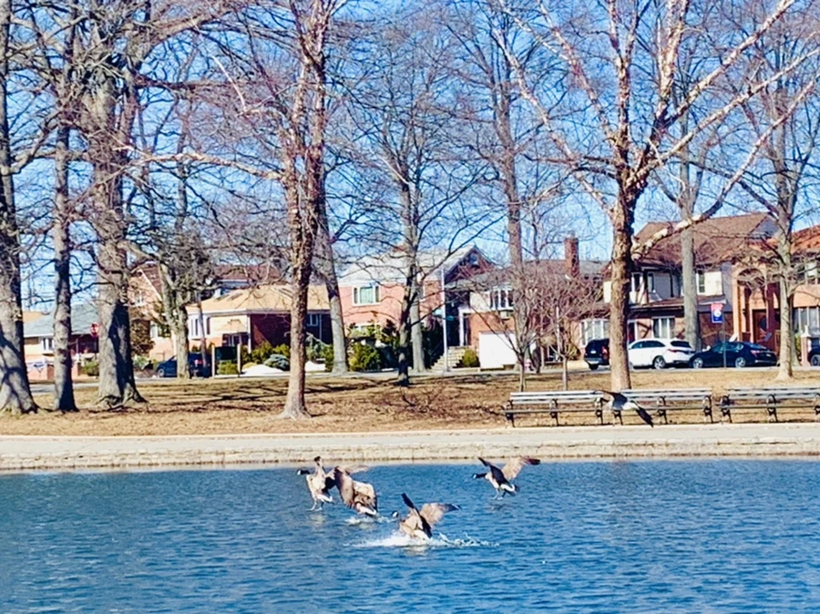 IMG_6638.jpg?type=w966