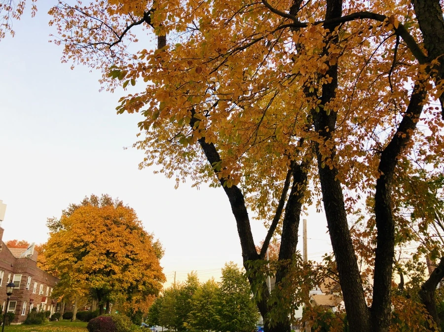 IMG_4063.jpg?type=w966