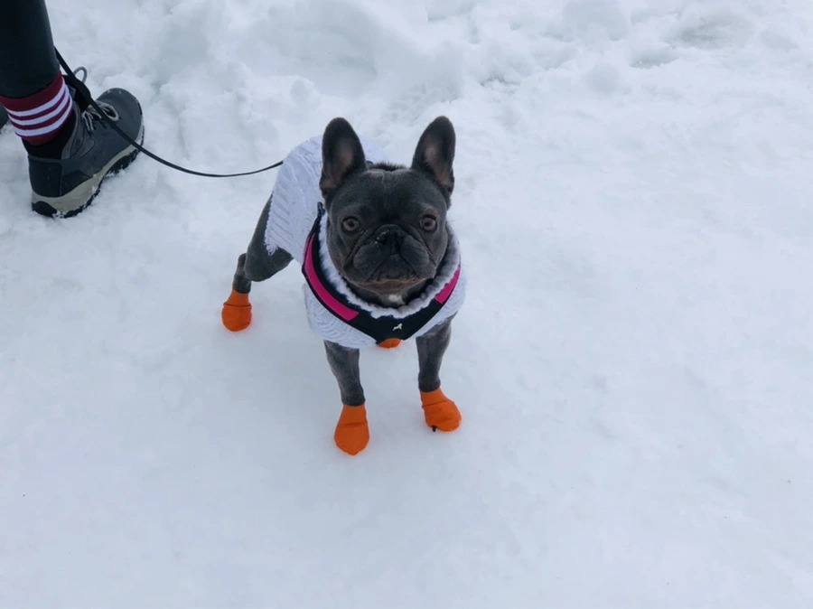 IMG_9594.jpg?type=w966