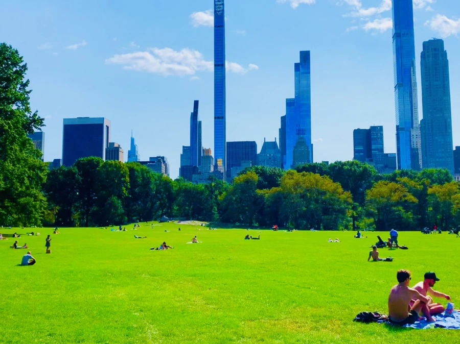 IMG_9685.jpg?type=w966