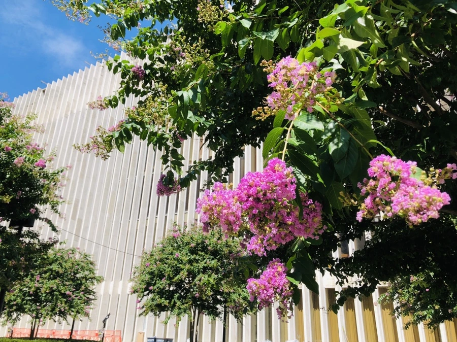 IMG_9064.jpg?type=w966