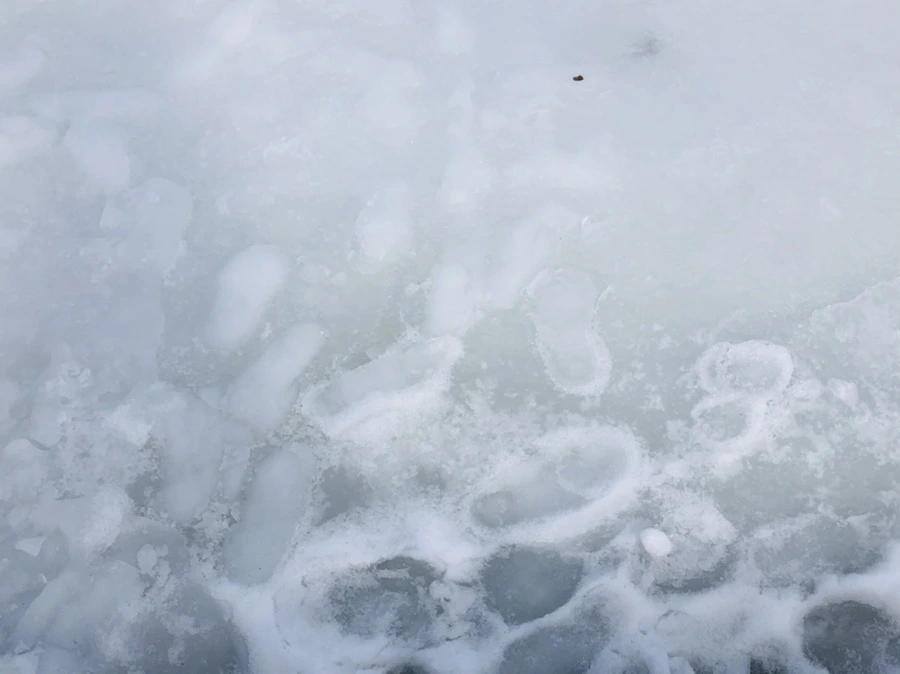 IMG_2844.jpg?type=w966