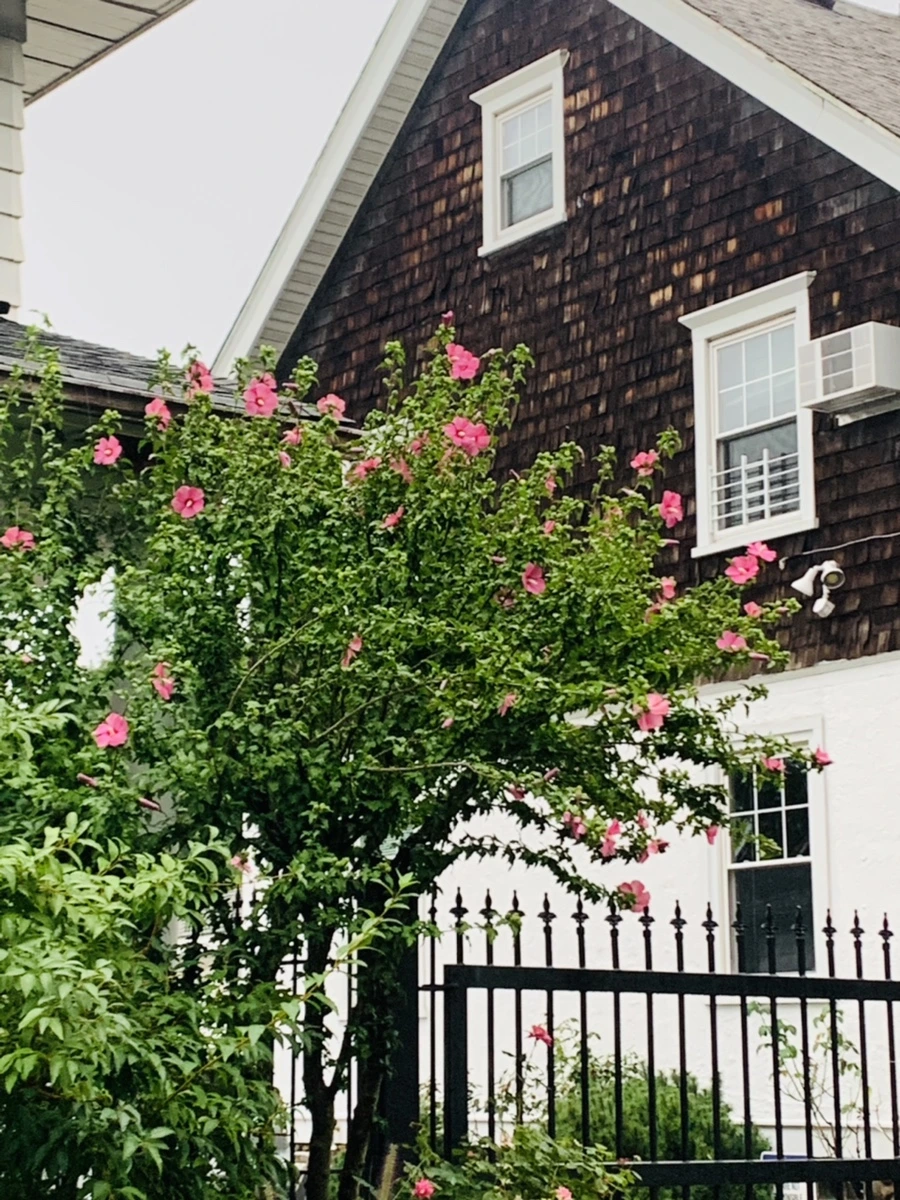 IMG_3652.jpg?type=w966