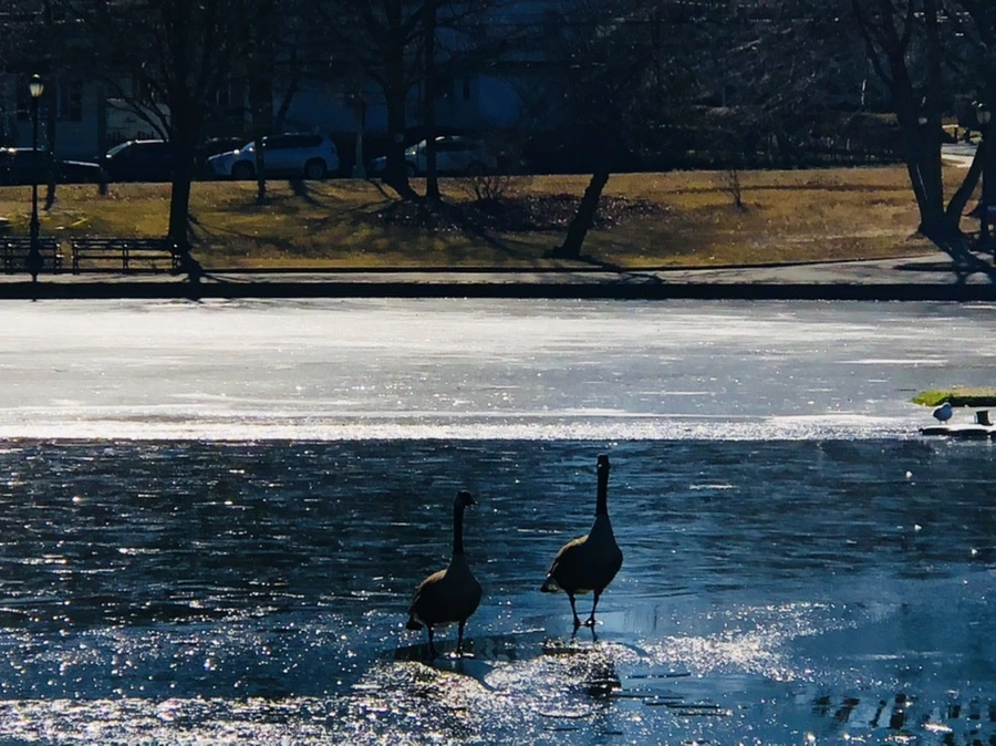 IMG_7970.jpg?type=w966