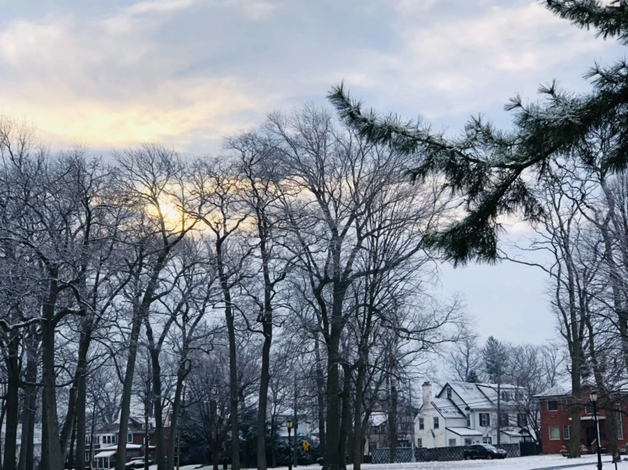 IMG_4539.jpg?type=w966