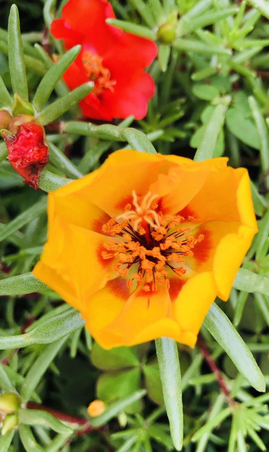 IMG_1279.jpg?type=w966