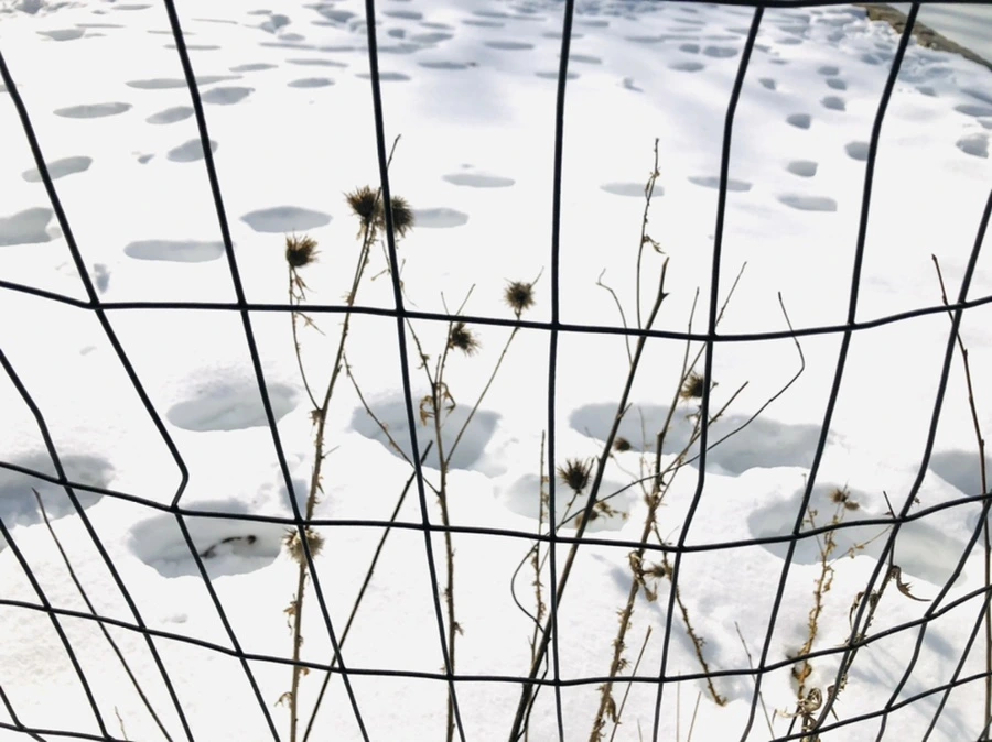 IMG_0107.jpg?type=w966