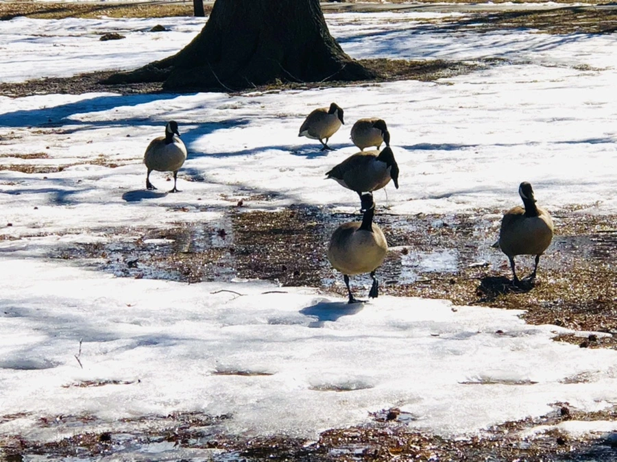 IMG_4652.jpg?type=w966