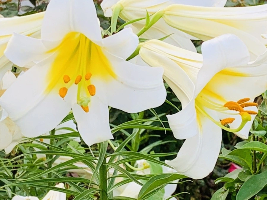 uN0ef6t80Ek858dwBCDIaiJpjd8