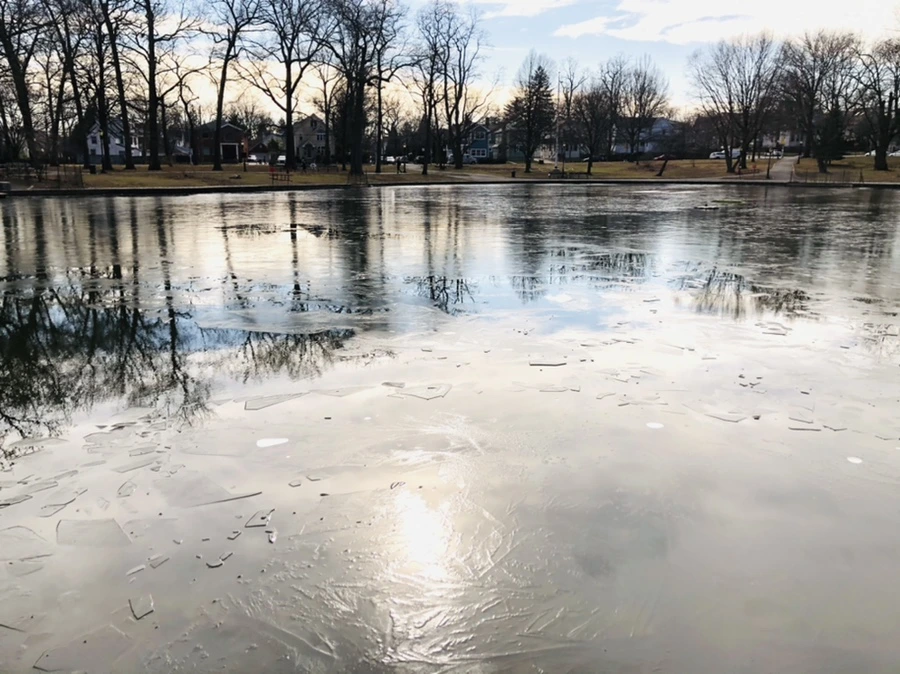 IMG_4749.jpg?type=w966