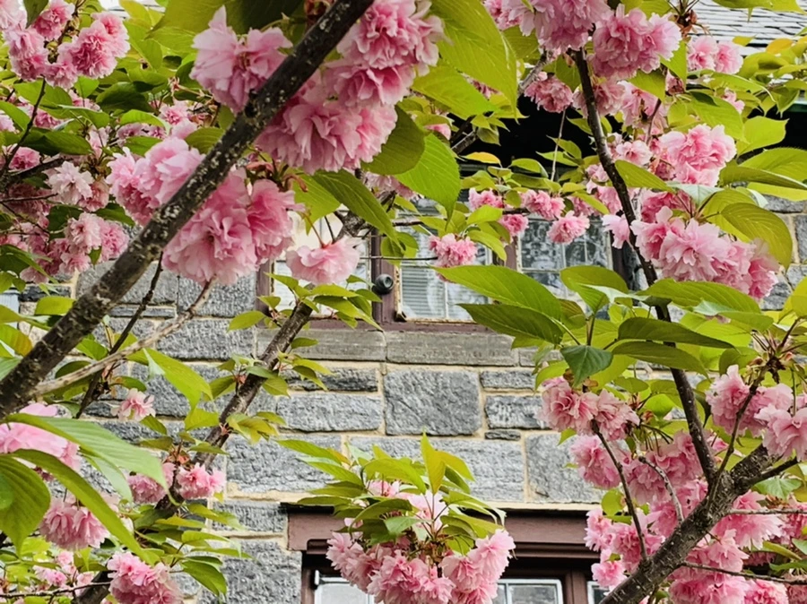 IMG_8979.jpg?type=w966