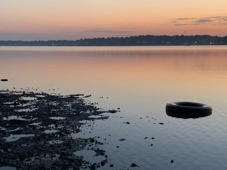 IMG_7039.jpg?type=w966