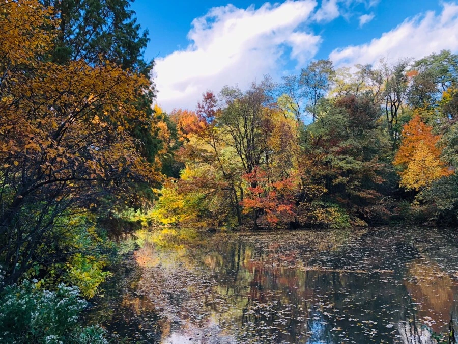 IMG_7313.jpg?type=w966