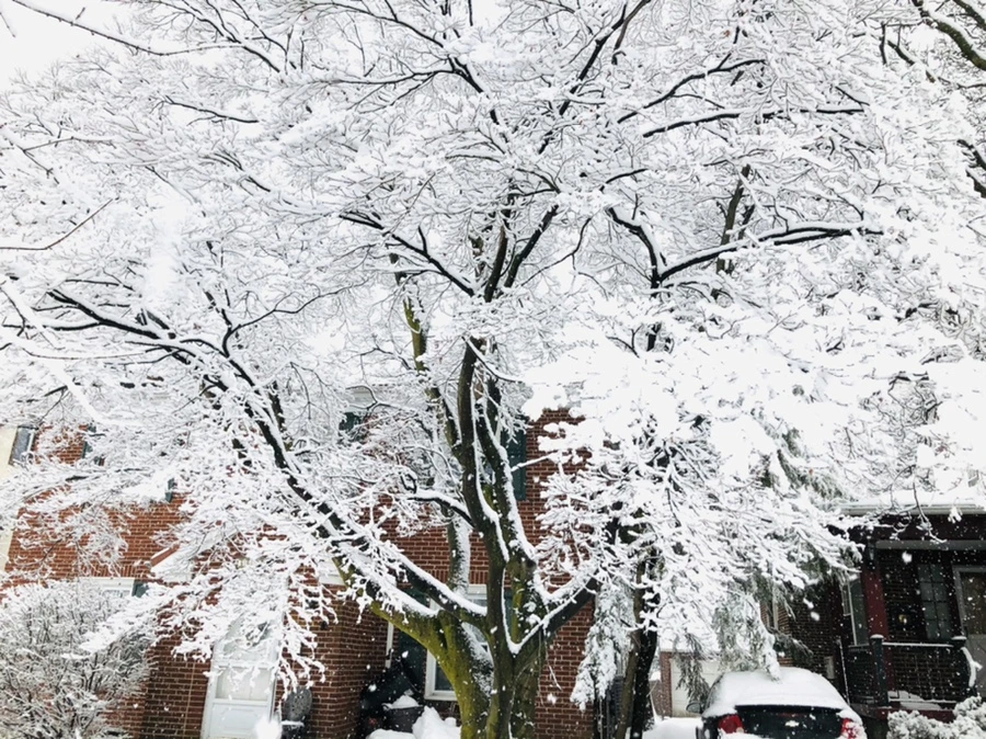 IMG_0968.jpg?type=w966