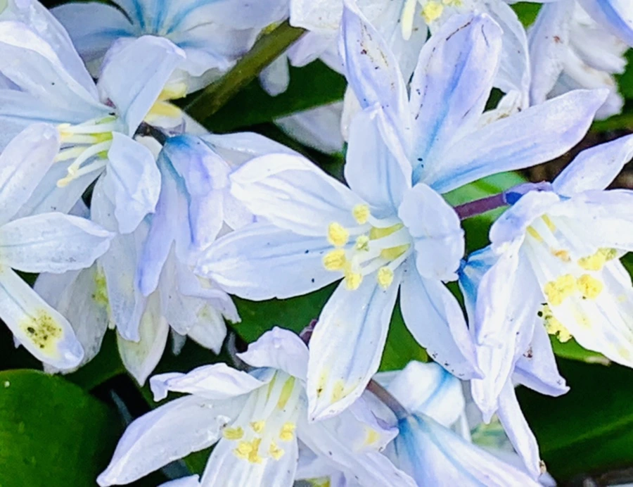 IMG_4113.jpg?type=w966