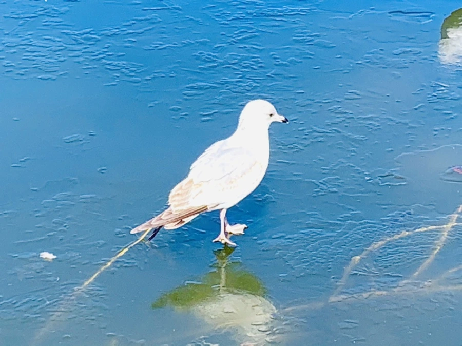 IMG_8319.jpg?type=w966