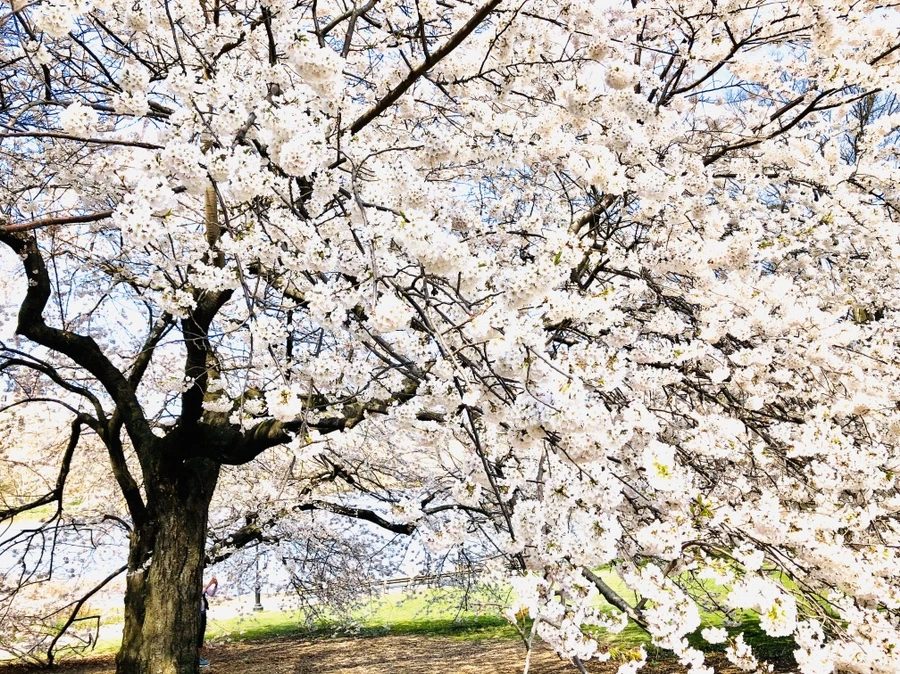 IMG_6873.jpg?type=w966