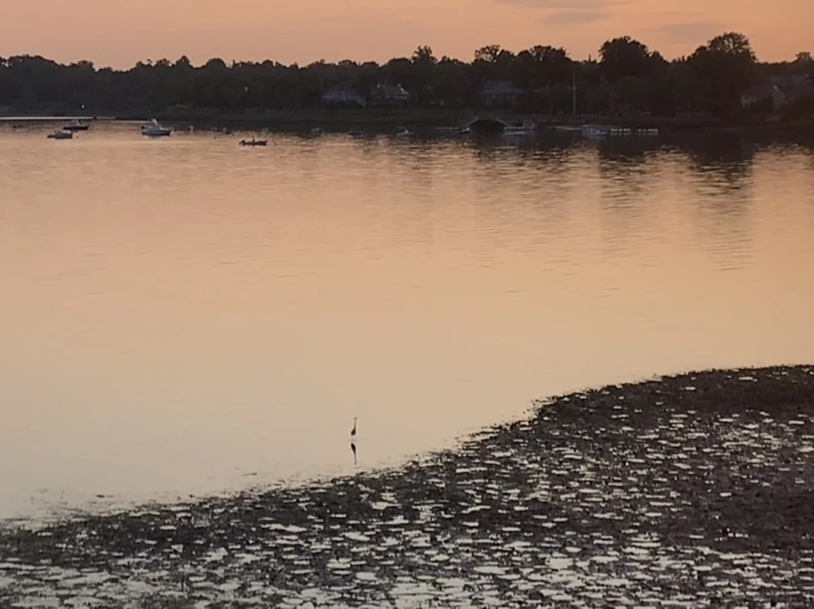 IMG_9553.jpg?type=w966