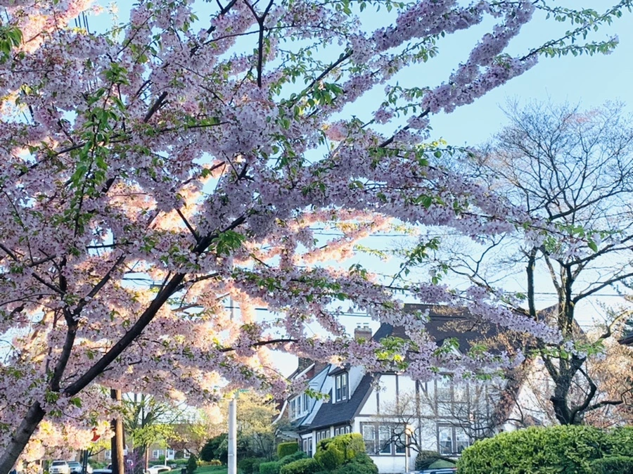 IMG_2474.jpg?type=w966