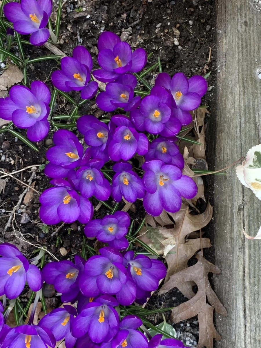 IMG_2885.jpg?type=w966