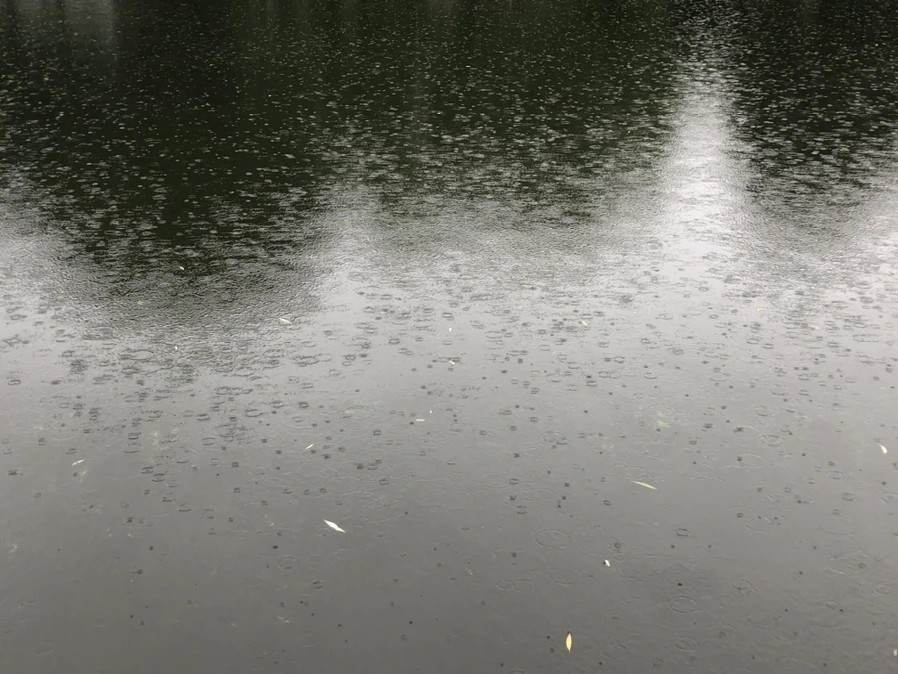 IMG_3261.jpg?type=w966