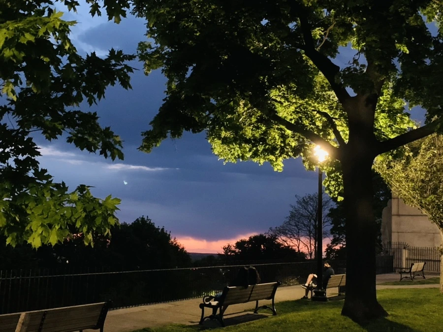 IMG_3029.jpg?type=w966