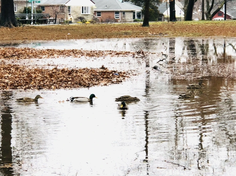 IMG_3372.jpg?type=w966