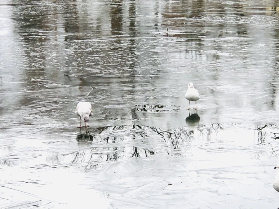 IMG_8983.jpg?type=w966