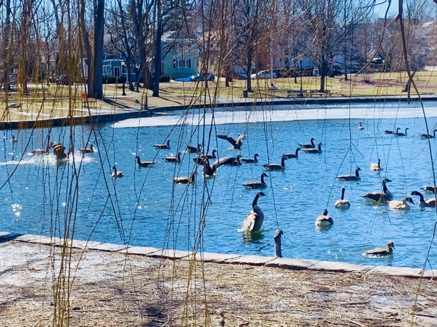 IMG_6831.jpg?type=w966