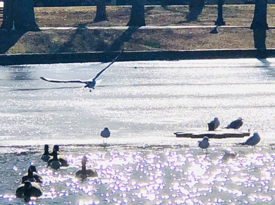 IMG_6708.jpg?type=w966