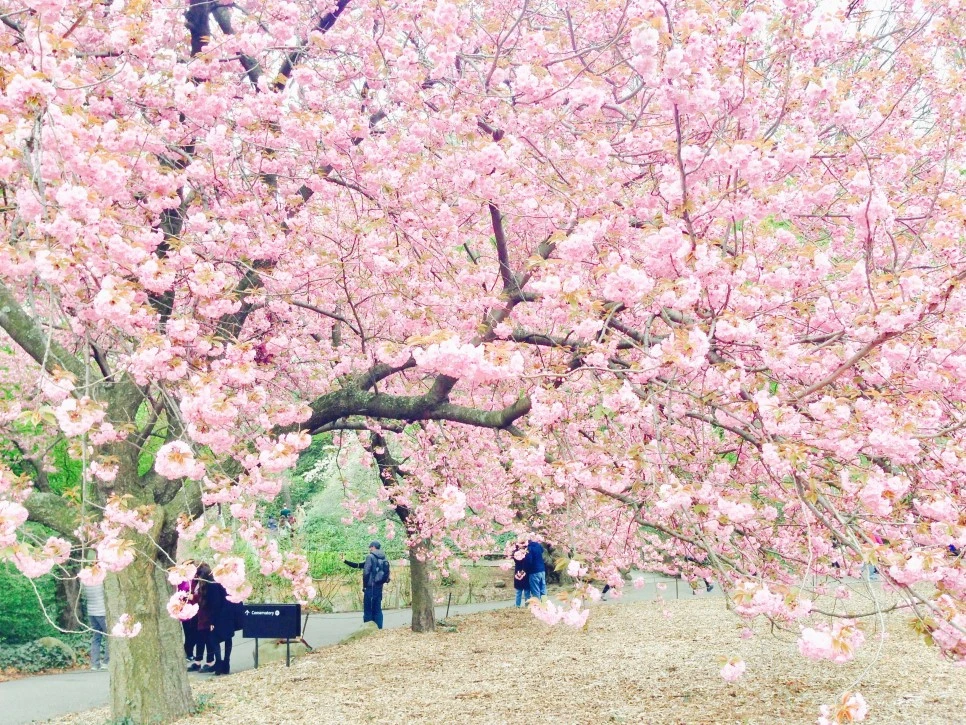 IMG_9210.jpg?type=w966