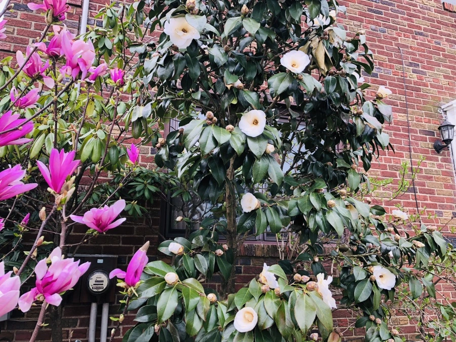 IMG_3189.jpg?type=w966