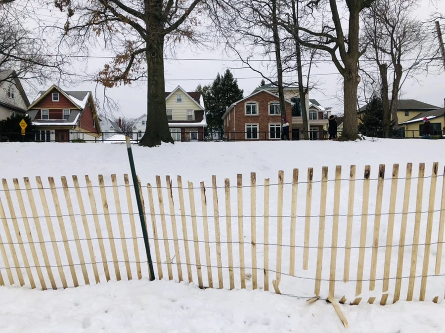 IMG_2714.jpg?type=w966