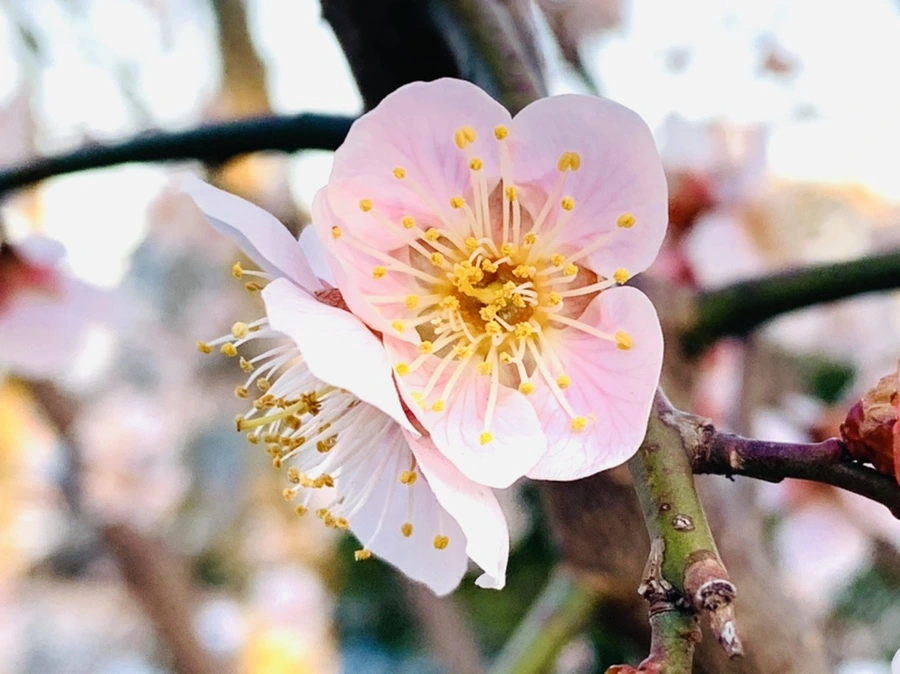 IMG_2261.jpg?type=w966