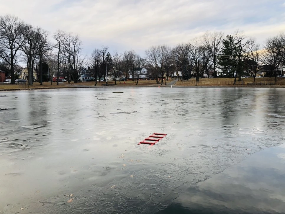 IMG_9036.jpg?type=w966