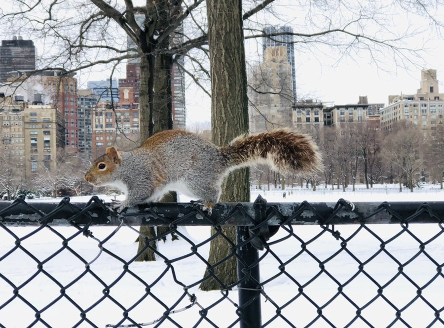 IMG_9253.jpg?type=w966